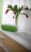 Banheiro decorado com plantas