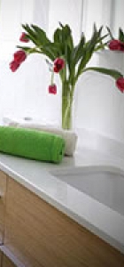 Banheiro decorado com plantas